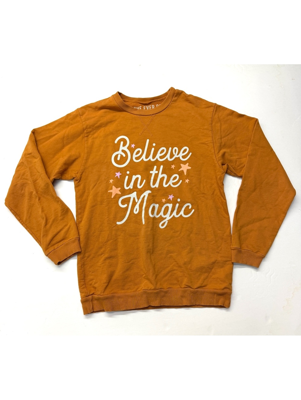 The Ever Co Orange Pumpkin Cotton Crewneck Sweatshirt Believe In The Magic Small